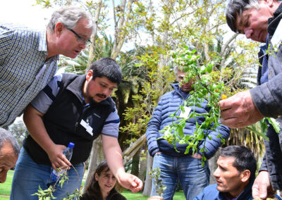 En terreno